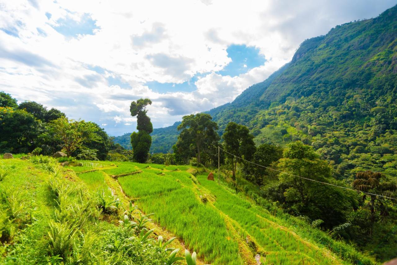 Villa Le Maas Tota Koslanda エクステリア 写真